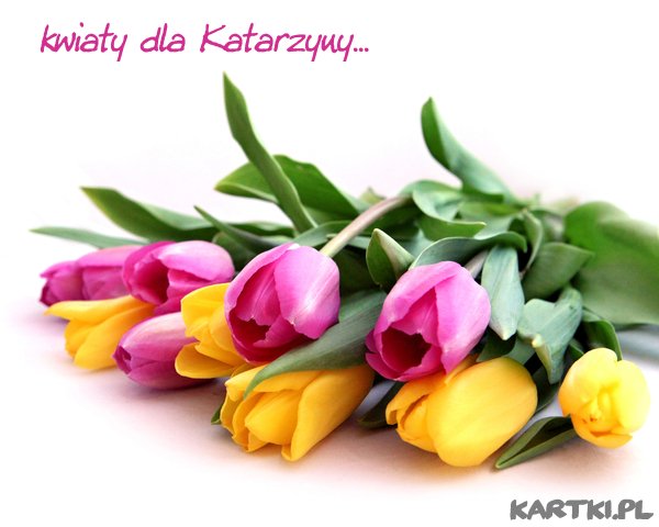 http://www.kartki.pl/kartki/wp-content/uploads/2011/11/imieniny_113.jpg